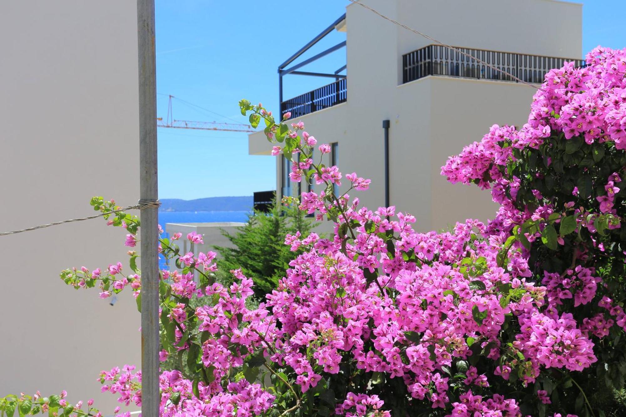 Family Friendly Apartments With A Swimming Pool Businci, Ciovo - 11232 Trogir Ngoại thất bức ảnh